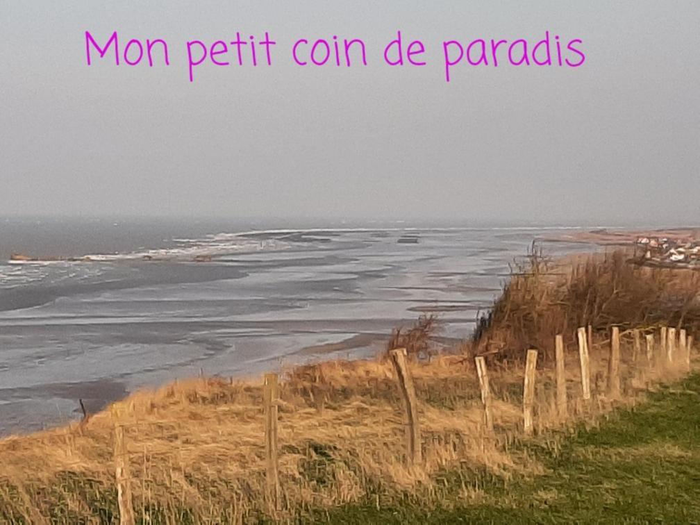 Les Heures Tranquilles - Vue Mer - 50M De La Plage Saint-Côme-de-Fresné Kültér fotó